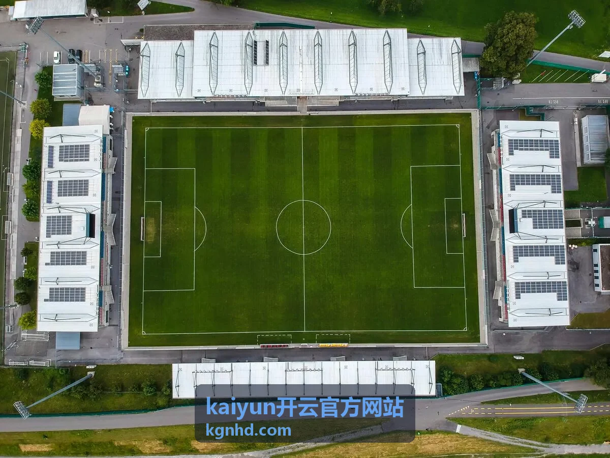 kaiyun开云官方网站内容更新与查阅流程说明配图